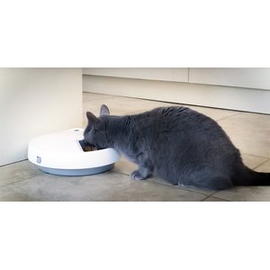 Cat Mate C500 Digital 5 Meal Automatic Dog & Cat Feeder