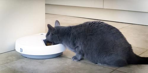 Show full view: Cat Mate C500 Digital 5 Meal Automatic Dog & Cat Feeder slide 7 of 10