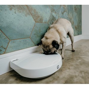 Cat Mate C500 Digital 5 Meal Automatic Dog & Cat Feeder