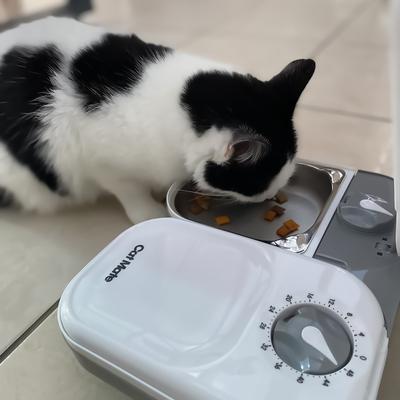 Show full view: Cat Mate Stainless Steel Bowl Inserts for Cat Mate One & Two Meal Automatic Cat Feeders Cat Bowl Inserts, Small, 2 count slide 5 of 7