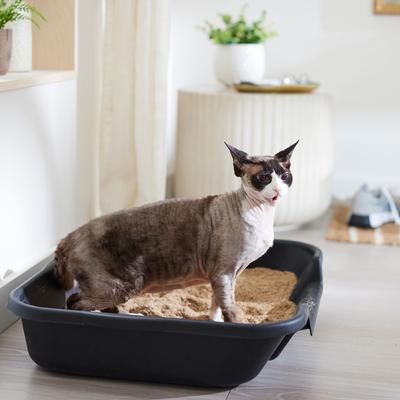 Show full view: Catalyst Pet Healthy Formula Cat Litter, 10-lb bag slide 5 of 9