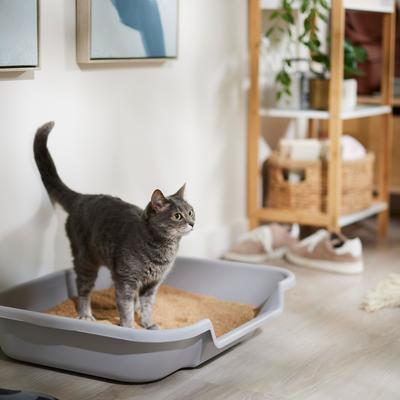 Show full view: Catalyst Pet Multi-Cat Formula Cat Litter, 20-lb bag slide 5 of 7