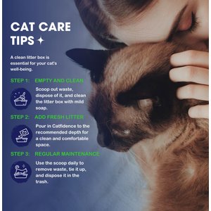 Catfidence Organic Bamboo Unscented Non-Clumping Bamboo Cat Litter, 7-lb bag