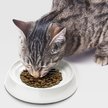Show in main carousel: CatGuru Dog & Cat Food Bowls, 2 count slide 6 of 9