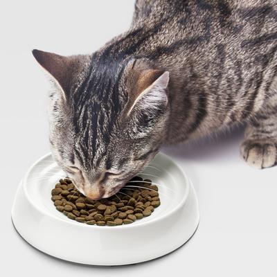 Show full view: CatGuru Dog & Cat Food Bowls, 2 count slide 6 of 9