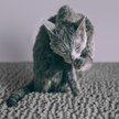 Show in main carousel: CatGuru Litter Mat, Gray, Medium slide 5 of 8