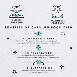 CatGuru Round Stainless Steel Cat & Dog Food Dish, 2 count slide 2 of 6
