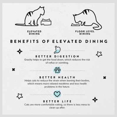 Show full view: CatGuru Standard Cat & Dog Food Bowl, Marshmallow slide 2 of 7