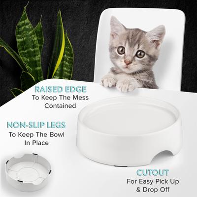 Show full view: CatGuru Standard Cat & Dog Food Bowl, Marshmallow slide 4 of 7