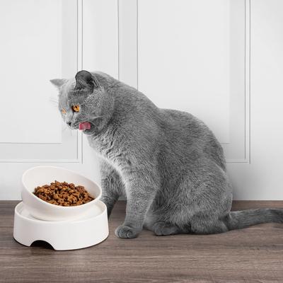 Show full view: CatGuru Standard Cat & Dog Food Bowl, Marshmallow slide 6 of 7