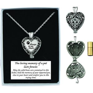 Cathedral Art Pet Memorial Frame with Ashes Locket