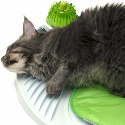 Show full view: Catit Catnip Shaker, 0.53-oz can slide 7 of 8