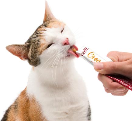 Show full view: Catit Creamy Chicken & Shrimp Cat Treat Tube, 12 count slide 7 of 9