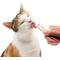 Show in main carousel: Catit Creamy Chicken & Shrimp Cat Treat Tube, 50 count slide 8 of 10