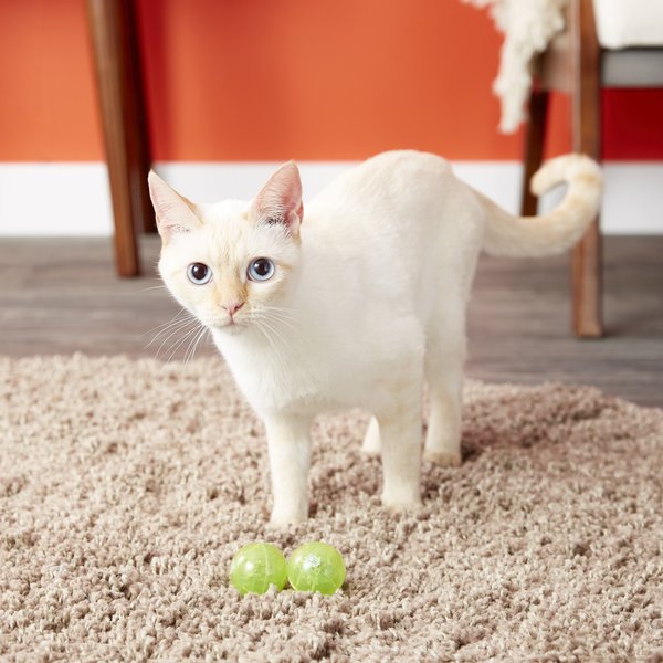 Catit Design Senses Circuit Motion Activated Illuminated Balls Cat Toy
