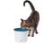 Show in main carousel: Catit Design Senses Plastic Drinking Fountain, 100-oz slide 4 of 8