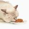 Show in main carousel: Catit Dinner Chicken with Liver & Sweet Potato Cat Wet Food, 2.8-oz can slide 3 of 5