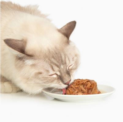 Show full view: Catit Dinner Chicken with Liver & Sweet Potato Cat Wet Food, 2.8-oz can slide 3 of 5