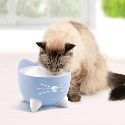 Show full view: Catit Pixi Cat Drinking Fountain, Light Blue slide 6 of 7