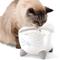 Show in main carousel: Catit Pixi Cat Drinking Fountain, Stainless Steel + Cartridge Filter, 3 count slide 4 of 8