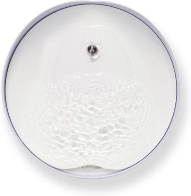 Show full view: Catit Pixi Cat Drinking Fountain, White slide 5 of 7