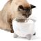 Show in main carousel: Catit Pixi Smart Stainless Top Cat Fountain Pump slide 8 of 10