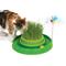 Show in main carousel: Catit Play Interactive Grass Circuit Ball Cat Toy slide 1 of 3