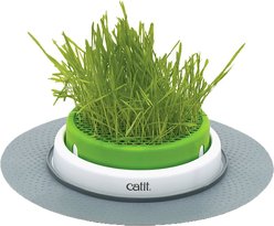 Catit Senses 2.0 Cat Grass Planter