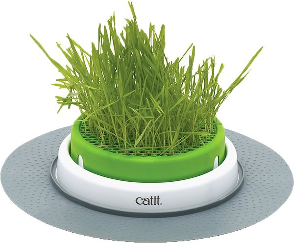 Show full view: Catit Senses 2.0 Cat Grass Planter slide 1 of 10