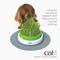 Show in main carousel: Catit Senses 2.0 Cat Grass Planter slide 3 of 10