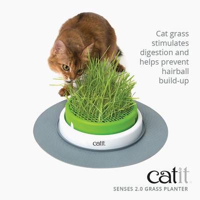 Show full view: Catit Senses 2.0 Cat Grass Planter slide 3 of 10