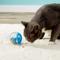 Show in main carousel: Catit Treat Ball Cat Toy, Blue slide 5 of 7