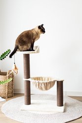 Catry 28-in Cozy Cat Tree with Hammock & Paper Rope Scratching Posts