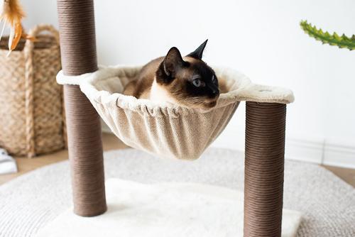 Show full view: Catry 28-in Cozy Cat Tree with Hammock & Paper Rope Scratching Posts slide 5 of 7