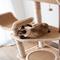 Show in main carousel: Catry 5 Level with Perch 49-in Polyester Cat Tree, Beige, Large slide 6 of 9