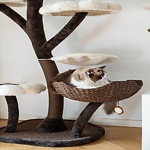 Catry 6 Level with Flower Toys-Blossom 59-in Polyester Cat Tree, White & Brown, Large
