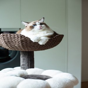 Catry 6 Level with Flower Toys-Blossom 59-in Polyester Cat Tree, White & Brown, Large