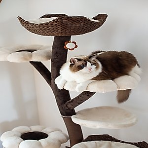 Catry 6 Level with Flower Toys-Blossom 59-in Polyester Cat Tree, White & Brown, Large