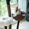 Show in main carousel: Catry 6 Level with Flower Toys-Blossom 59-in Polyester Cat Tree, White & Brown, Large slide 9 of 10
