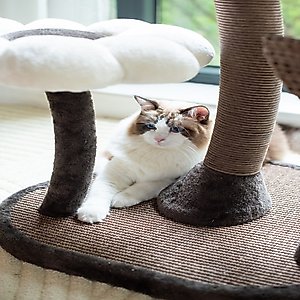 Catry 6 Level with Flower Toys-Blossom 59-in Polyester Cat Tree, White & Brown, Large
