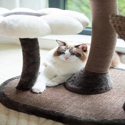 Show full view: Catry 6 Level with Flower Toys-Blossom 59-in Polyester Cat Tree, White & Brown, Large slide 7 of 10