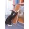 Show in main carousel: Catry 75-in Scratching Posts Condo Cat Tree, Beige slide 8 of 10