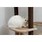 Show in main carousel: Catry interactive 7-Level Cat Tree with Condo, Scratching Posts, & Toys, 63-in H, Beige slide 4 of 8