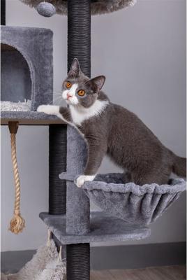 Show full view: Catry interactive 7-Level Cat Tree with Condo, Scratching Posts, & Toys, 63-in H, Grey slide 4 of 10