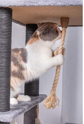 Show full view: Catry interactive 7-Level Cat Tree with Condo, Scratching Posts, & Toys, 63-in H, Grey slide 8 of 10