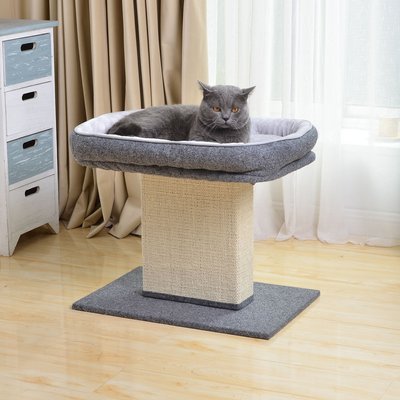 Catry Catry Perch with Sisal Scratcher & Perch-Mellow 19-in Plush Cat Tree, Grey, Medium