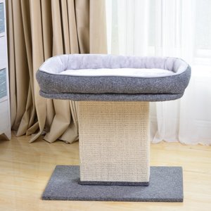 Catry Perch with Sisal Scratcher & Perch-Mellow 19-in Plush Cat Tree, Grey, Medium