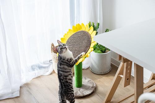 Show full view: Catry Sunflower 23.2-in Sisal Cat Scratching Post with Toy slide 4 of 10