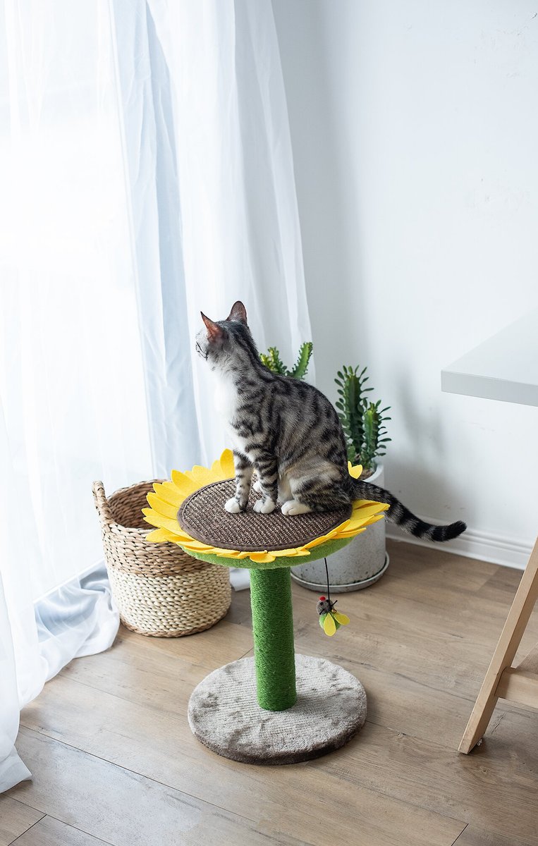Catry 16.3-in Sisal Cat Scratching Post with Toy