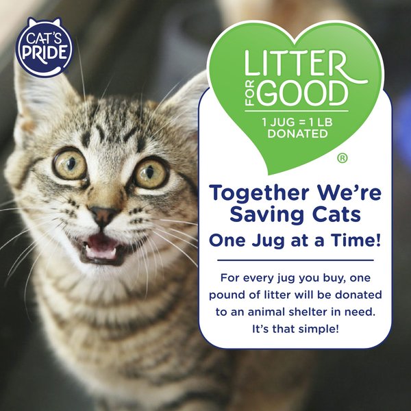 Cat's Pride New Antibacterial Odor Scented Clumping Clay Cat Litter, 12-lb jug